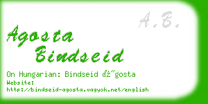 agosta bindseid business card